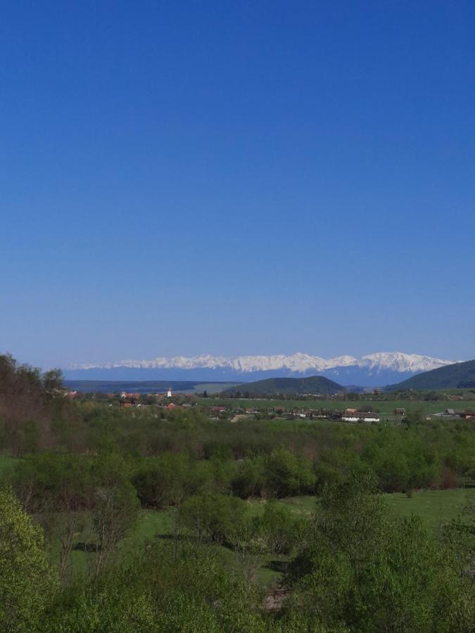 Pensiune Marginimea Sibiului Orlat Exterior foto