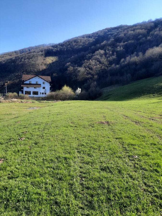 Pensiune Marginimea Sibiului Orlat Exterior foto