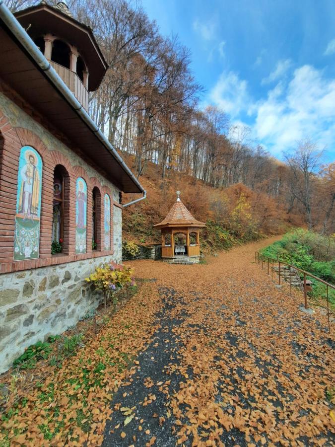 Pensiune Marginimea Sibiului Orlat Exterior foto