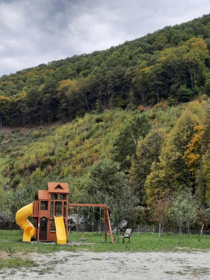 Pensiune Marginimea Sibiului Orlat Exterior foto