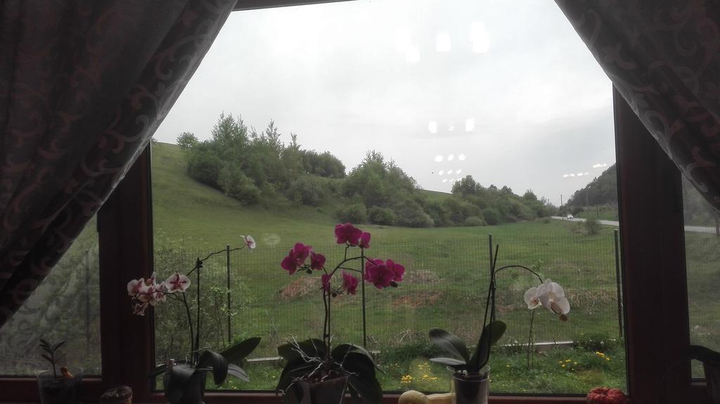 Pensiune Marginimea Sibiului Orlat Exterior foto