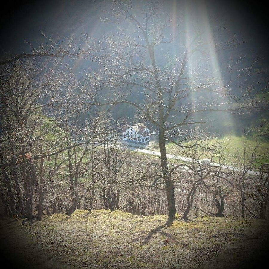 Pensiune Marginimea Sibiului Orlat Exterior foto